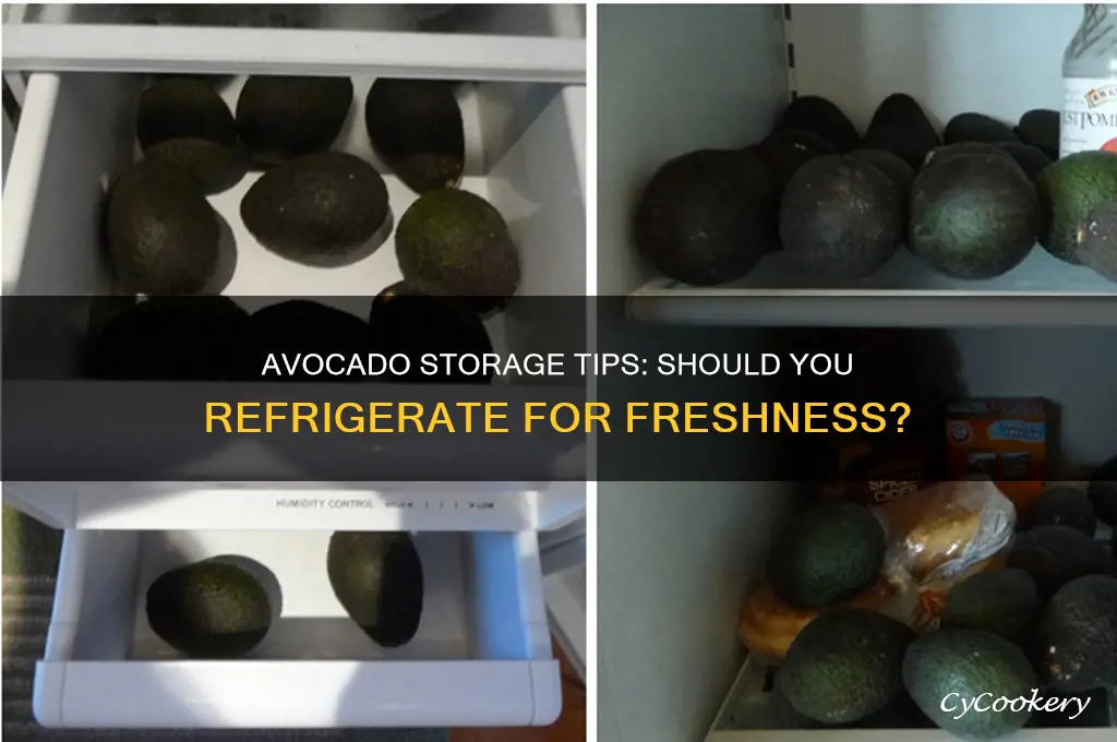 do avocados stay fresh in the refrigerator