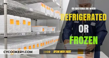 Refrigeration and Freezing: Do Bacteria Survive or Perish in Cold Storage?