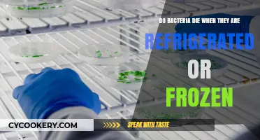 Refrigeration and Freezing: Do Bacteria Survive or Perish in Cold Storage?