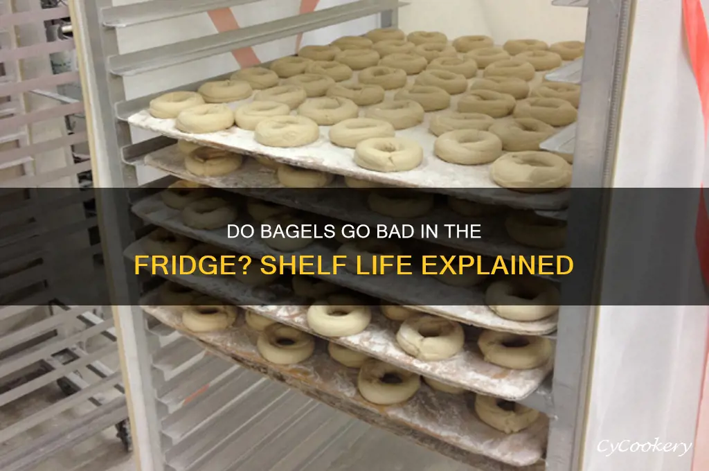 do bagels go bad in the refrigerator