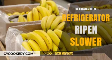 Refrigerating Bananas: Does Chilling Slow Down Ripening Process?