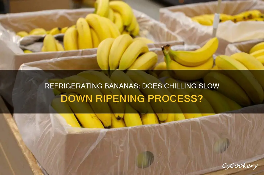 do bananas in the refrigerator ripen slower