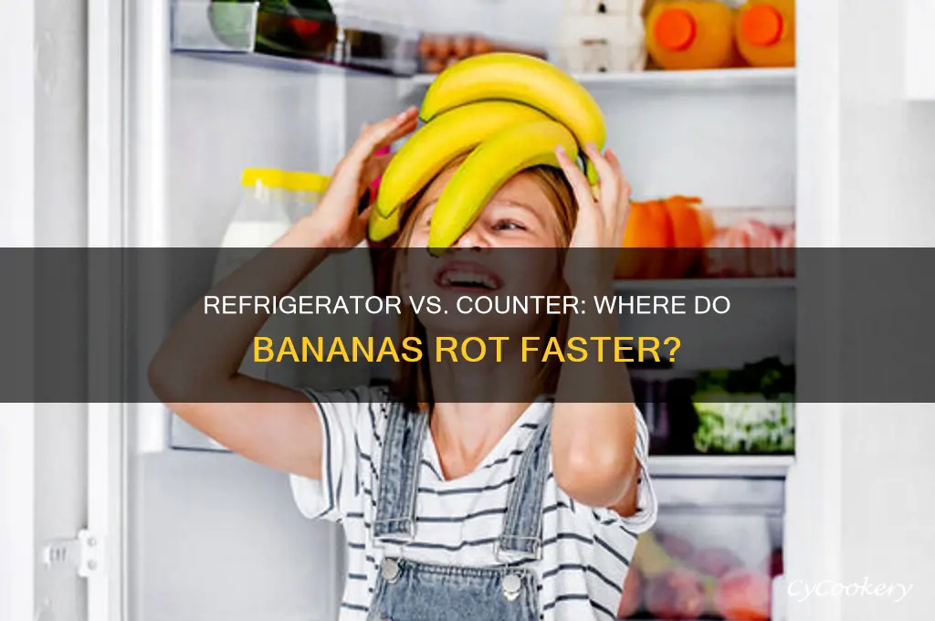 do bananas rot faster in the refrigerator