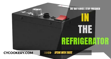 Chilling Batteries: Does Refrigeration Extend Their Lifespan and Freshness?