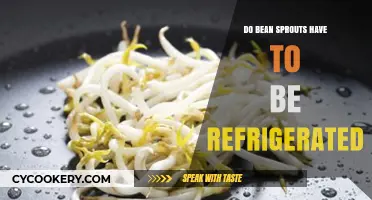 Should Bean Sprouts Be Refrigerated? Storage Tips for Freshness