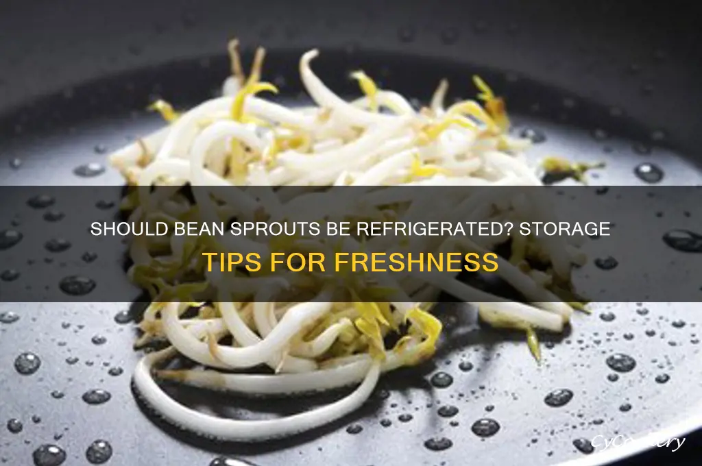 do bean sprouts have to be refrigerated