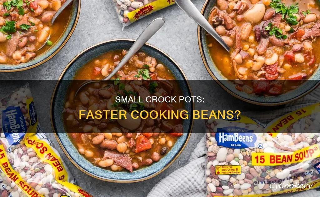 do beans cook faster in a small crock pots