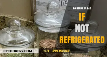 Do Beans Go Bad Without Refrigeration? Storage Tips Revealed