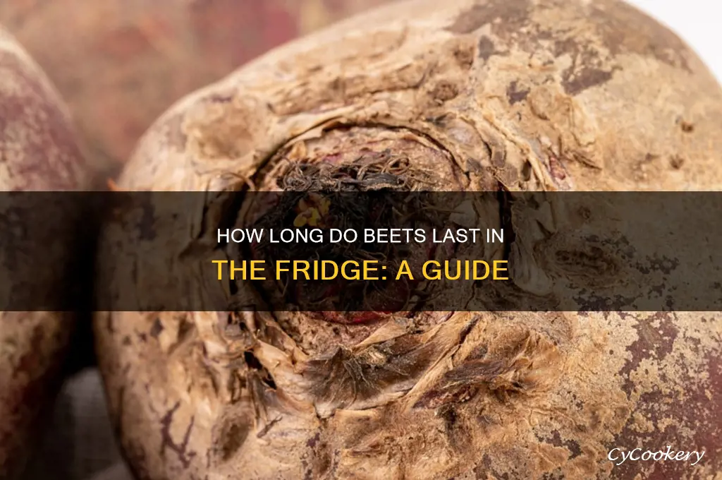 do beets go bad in the refrigerator