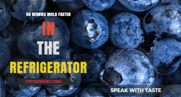 Do Berries Mold Faster in the Fridge? Storage Tips Revealed