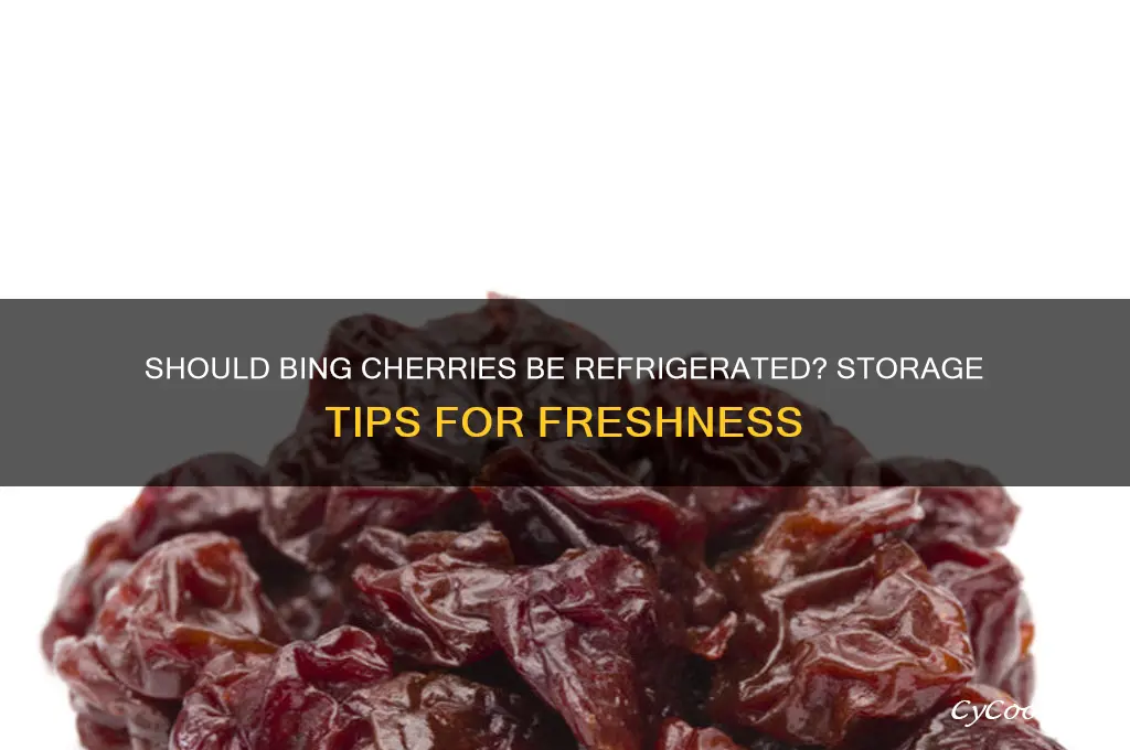 do bing cherries have to be refrigerated