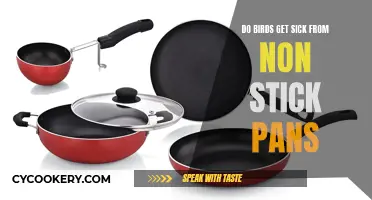 How Non-Stick Pans Affect Bird Health