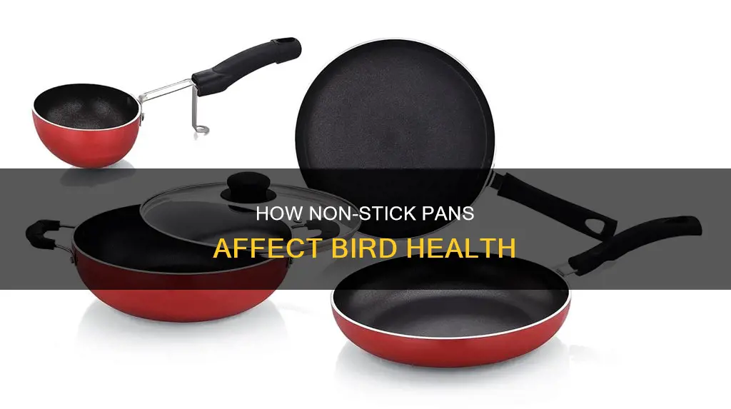 do birds get sick from non stick pans