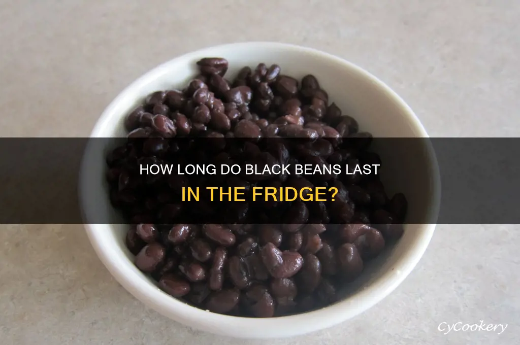 do black beans go bad in the refrigerator