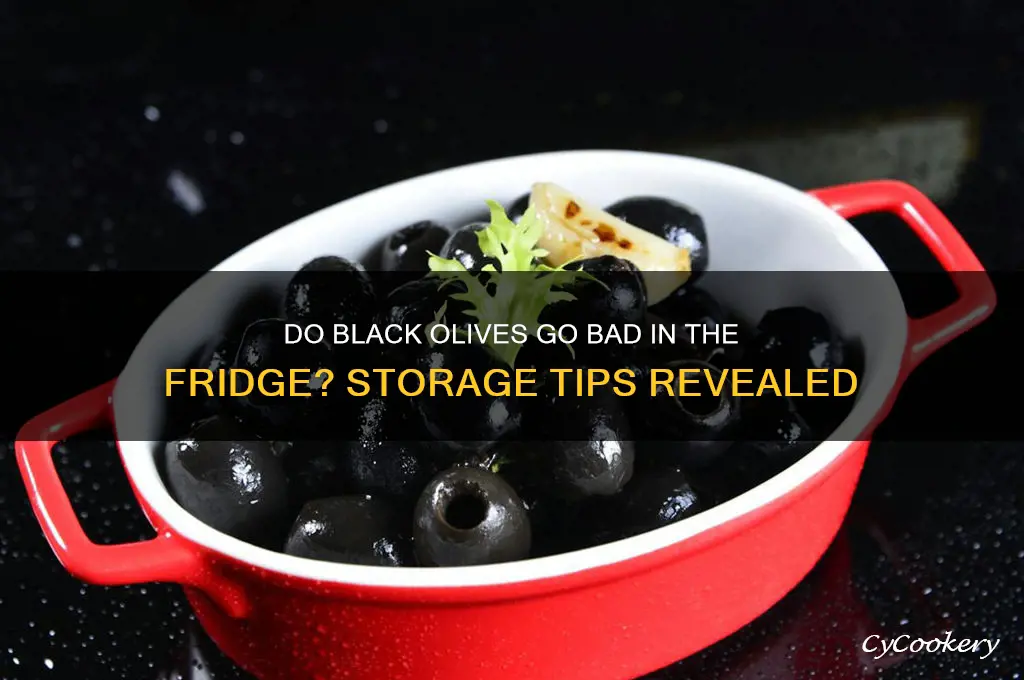 do black olives go bad in the refrigerator