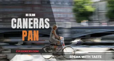 Blink Camera Panning: How Does It Work?