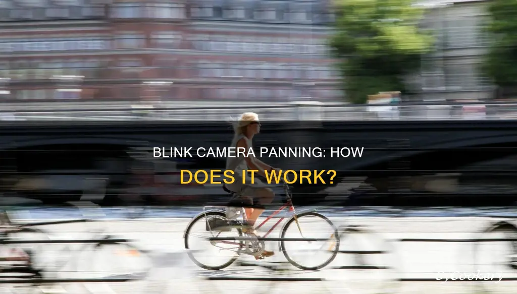 do blink caneras pan