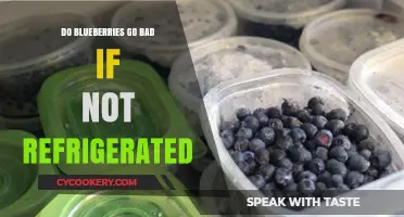 Do Blueberries Spoil Without Refrigeration? Storage Tips Revealed