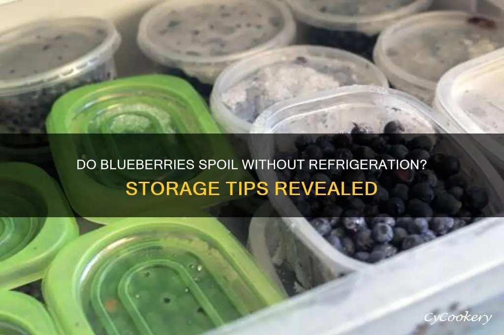 do blueberries go bad if not refrigerated