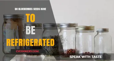 Should Blueberry Seeds Be Refrigerated? Storage Tips for Gardeners
