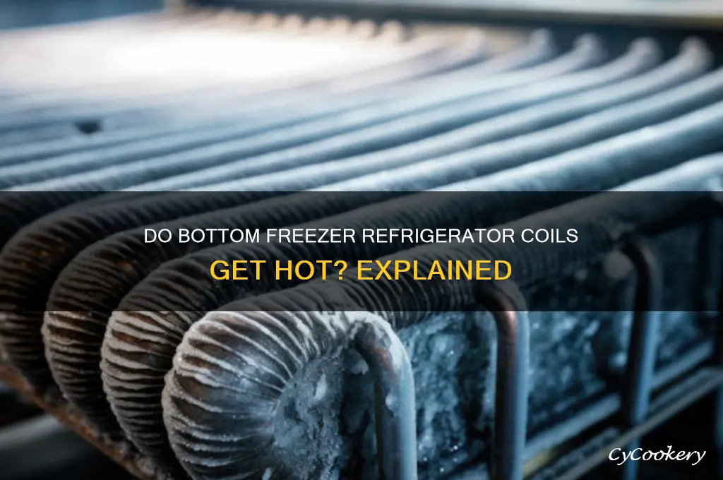do bottom freezer refrigerators coils get hot