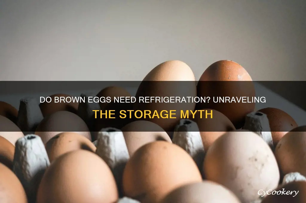 do brown eggs have to be refrigerated