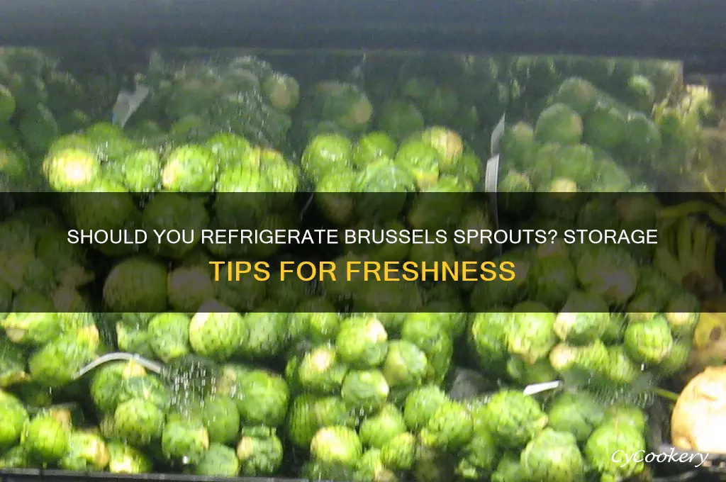 do brussel sprouts have to be refrigerated