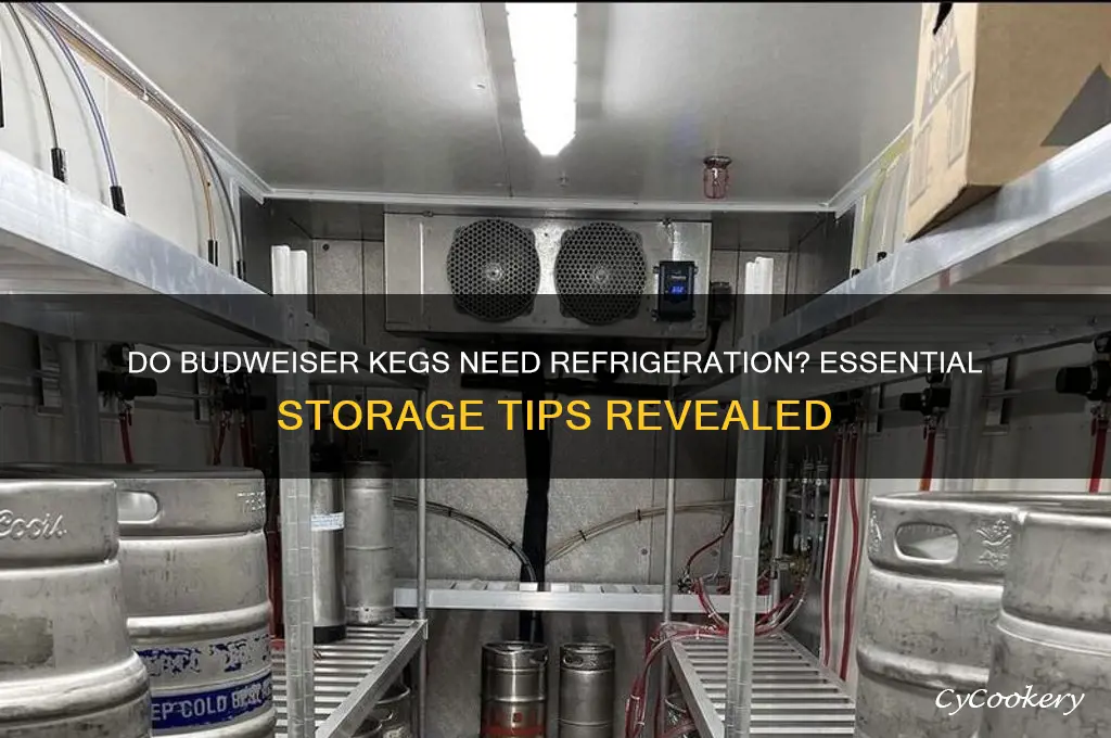 do budweiser kegs have to be refrigerated