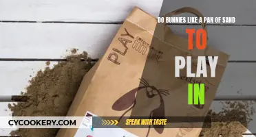 Sand Pan: Bunnies' Fun Playtime!