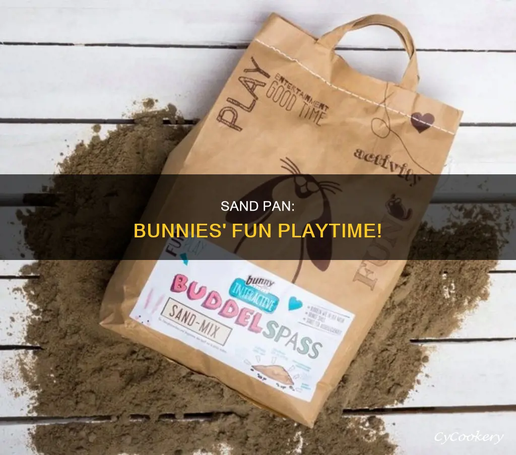 do bunnies like a pan of sand to play in