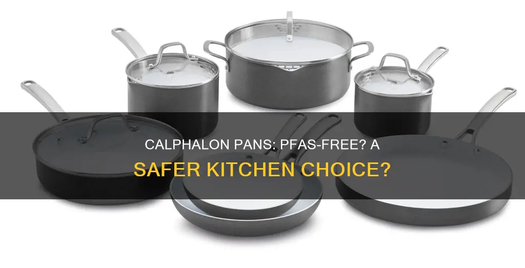 do calphalon pans have pfas