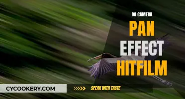 How to Create Camera Pan Effect in HitFilm