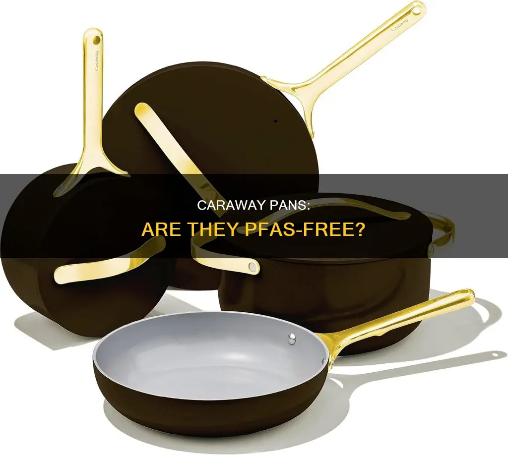 do caraway pans have pfas