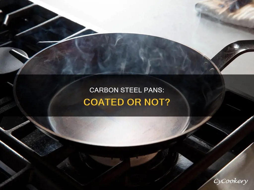 do carbon steel pans have a coating