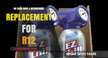 Eco-Friendly Alternatives: Replacing R12 Refrigerant in Older Vehicles