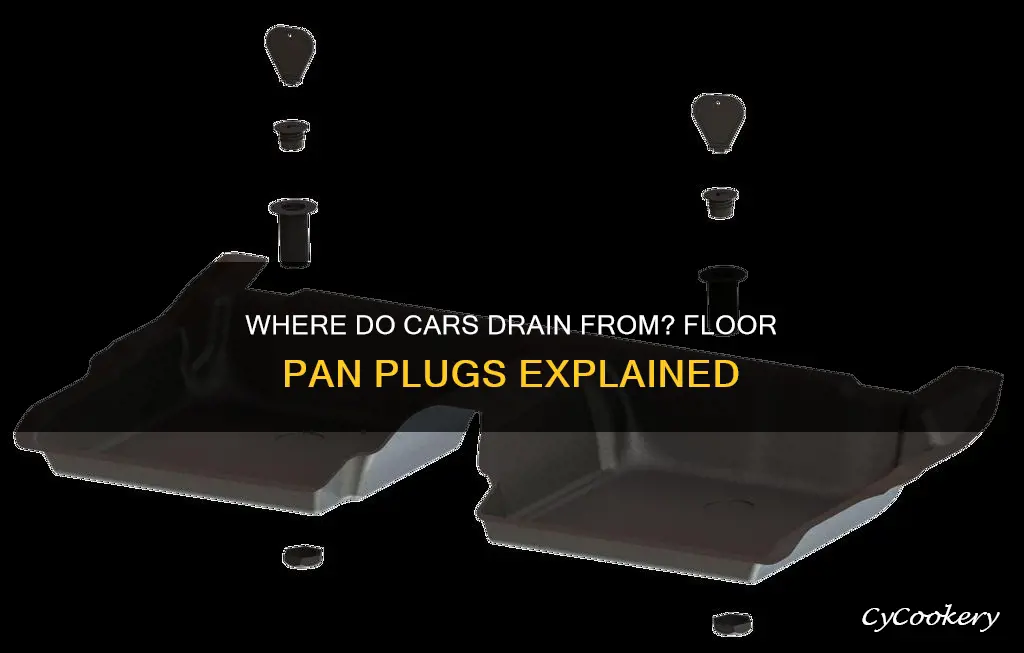 do cars have floor pan drain plugs