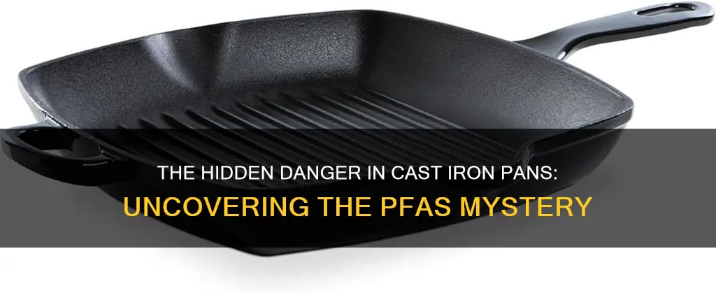 do cast iron pans have pfas