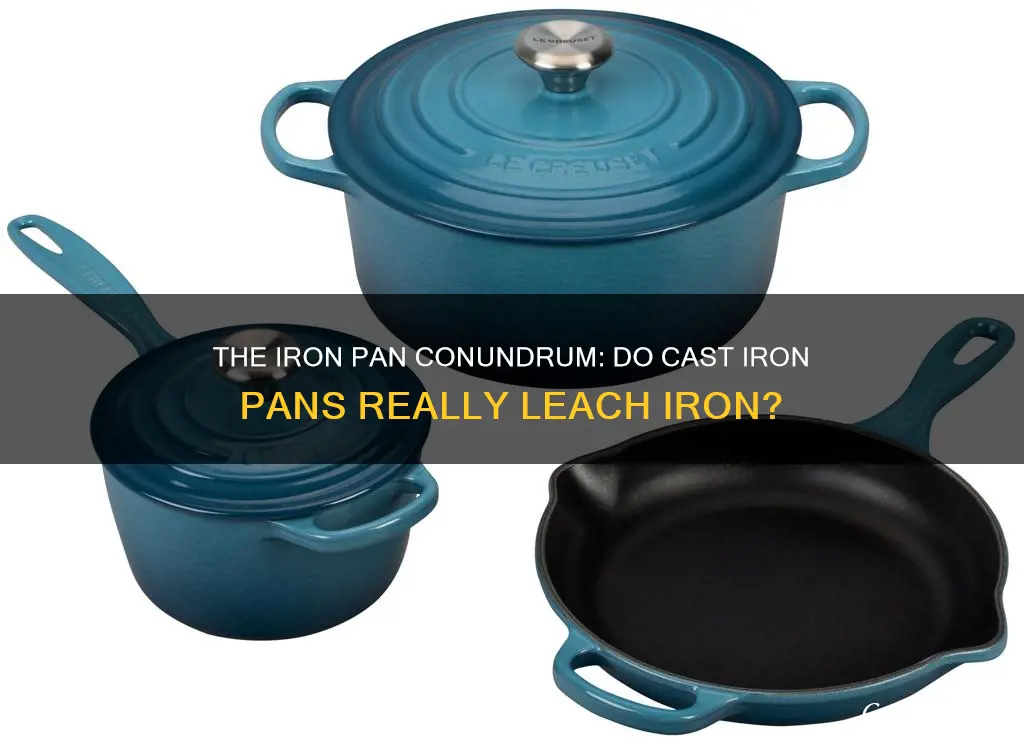 do cast iron pans leach iron