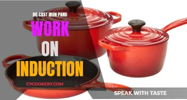 Cast Iron Pans: Induction-Ready?