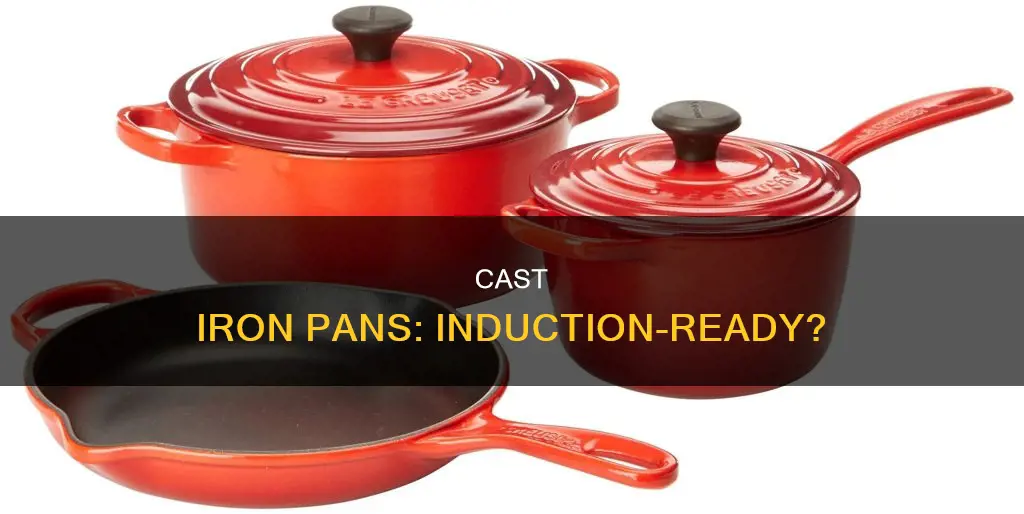 do cast iron pans work on induction