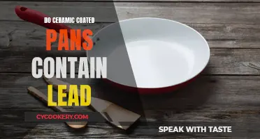 Ceramic Coated Pans: Lead-Free Safe Cooking?