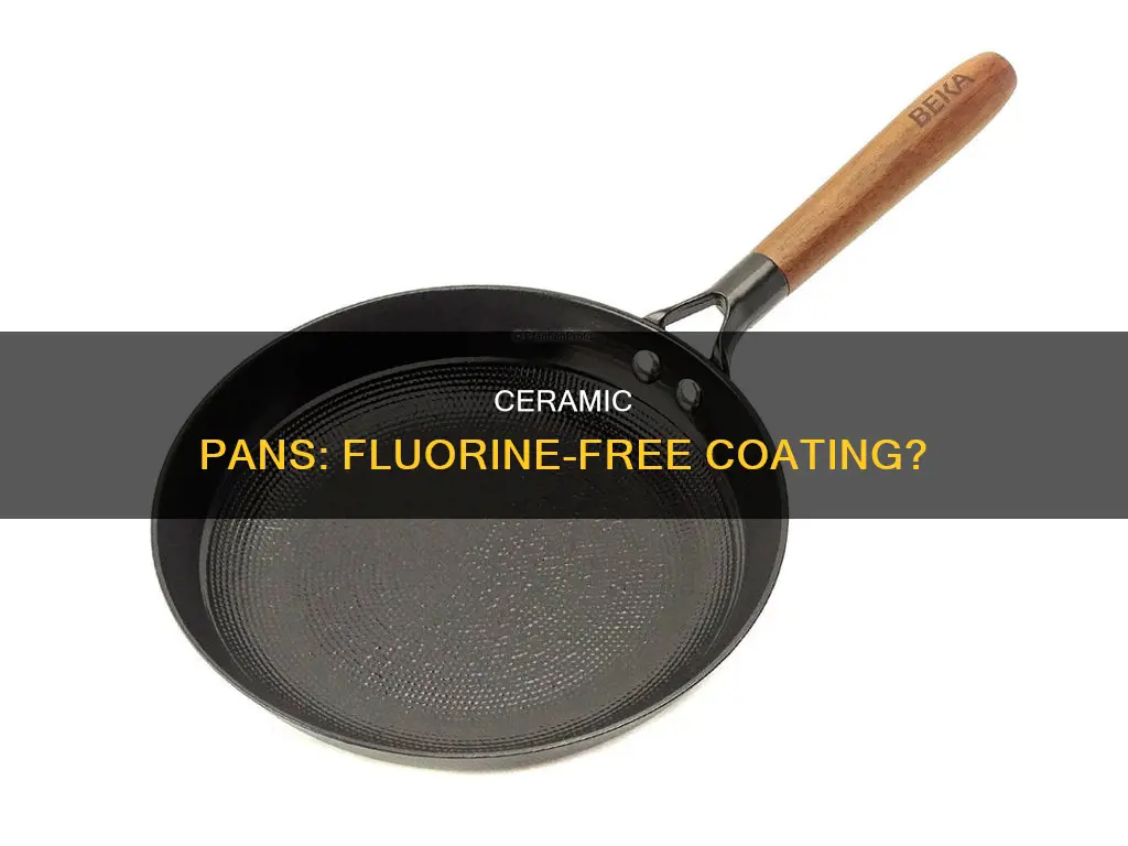 do ceramic pan coating contain fluorine