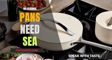 Ceramic Pans: Seasoning or Not?