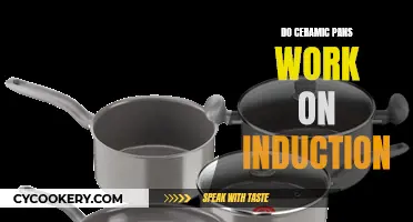 Ceramic Pans: Induction Cookware Solution?