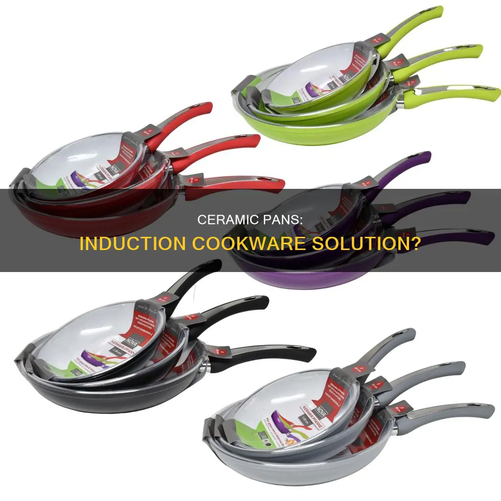 do ceramic pans work on induction