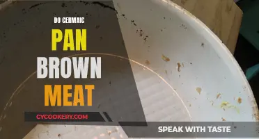 Can Ceramic Pans Achieve Meat's Perfect Browning?