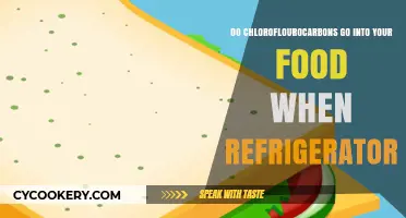 Are Chlorofluorocarbons from Your Fridge Contaminating Your Food?