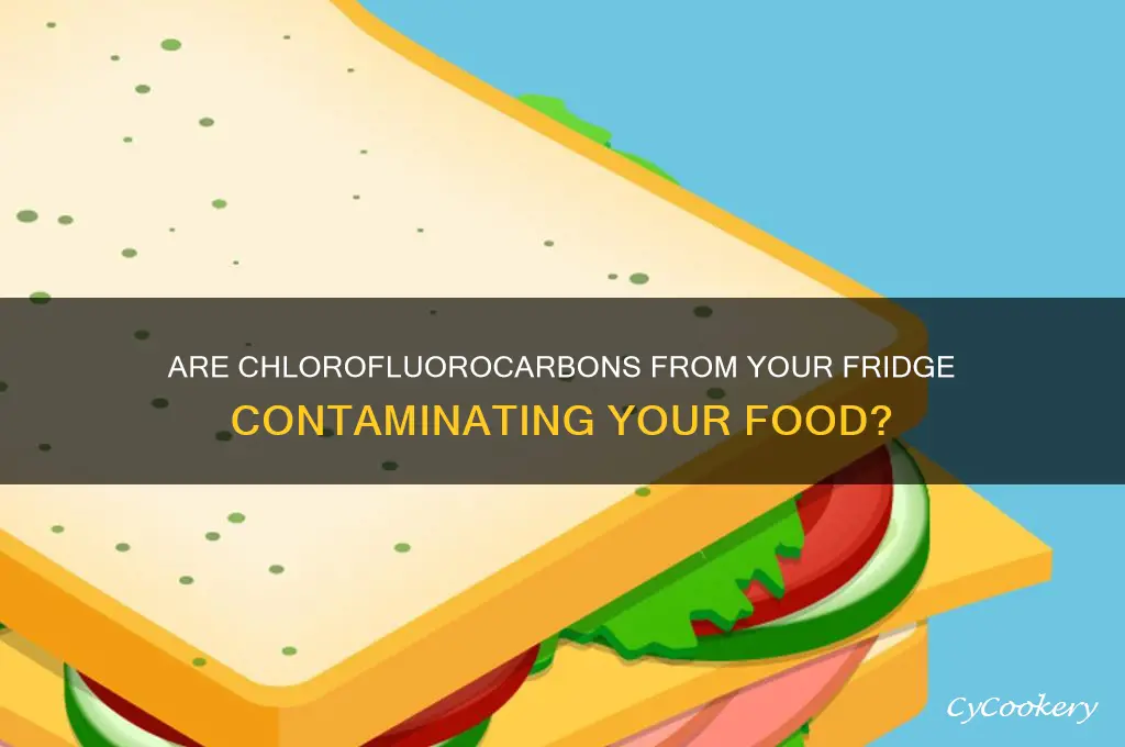do chloroflourocarbons go into your food when refrigerator