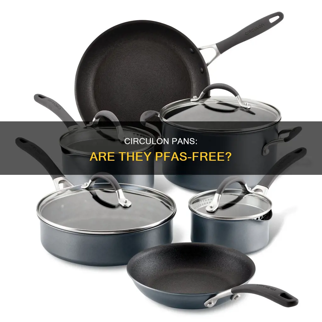 do circulon pans have pfas