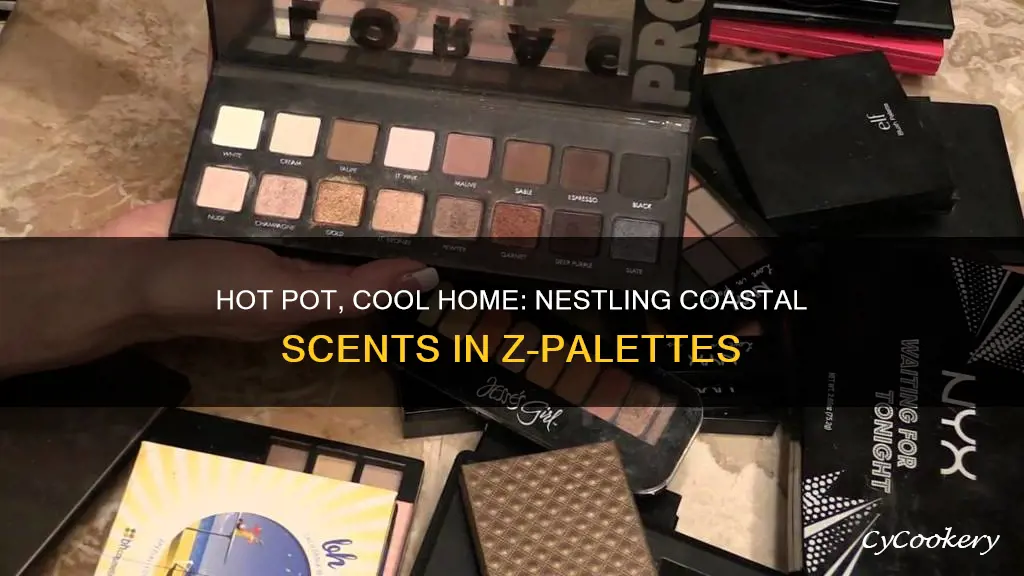 do coastal scents hot pots fit in z palettes